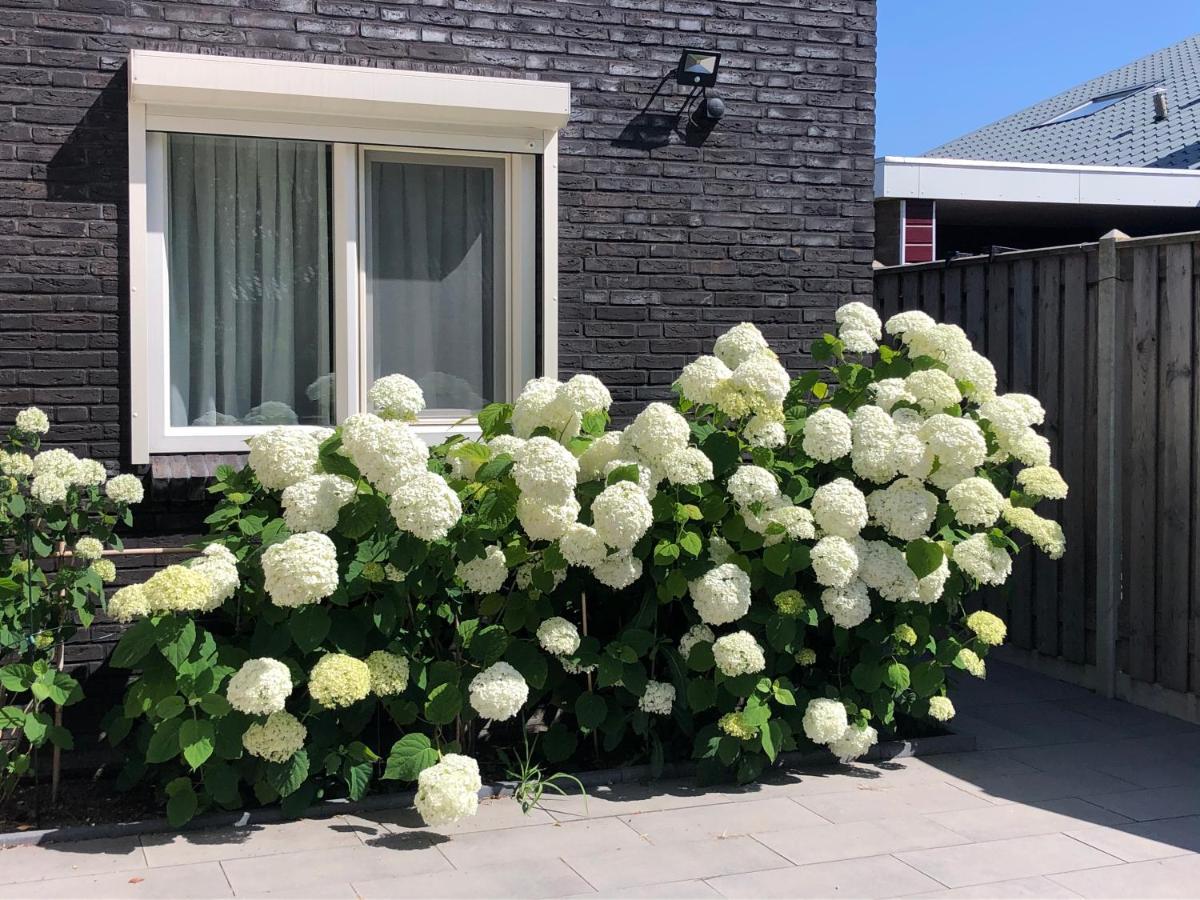 Zoutelande Koddelaan Vakantiewoning ภายนอก รูปภาพ