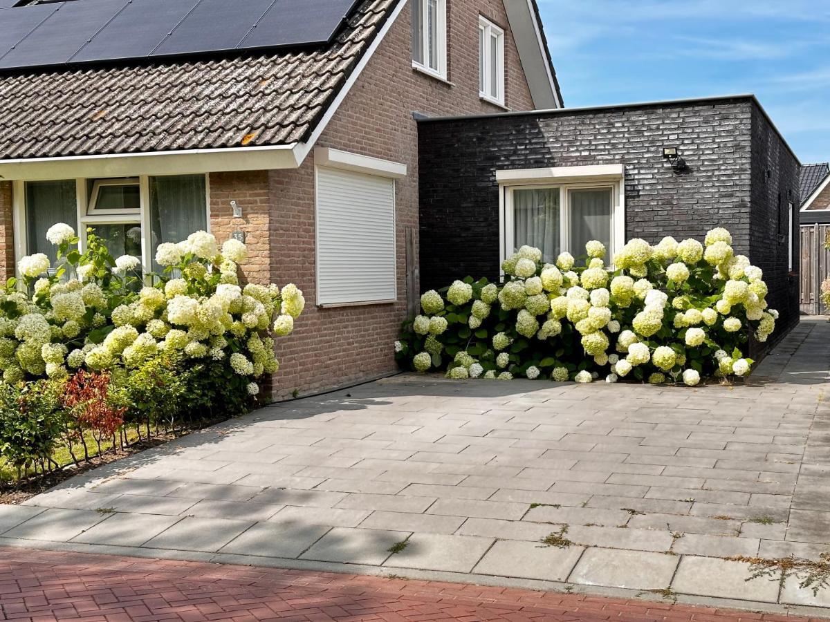 Zoutelande Koddelaan Vakantiewoning ภายนอก รูปภาพ