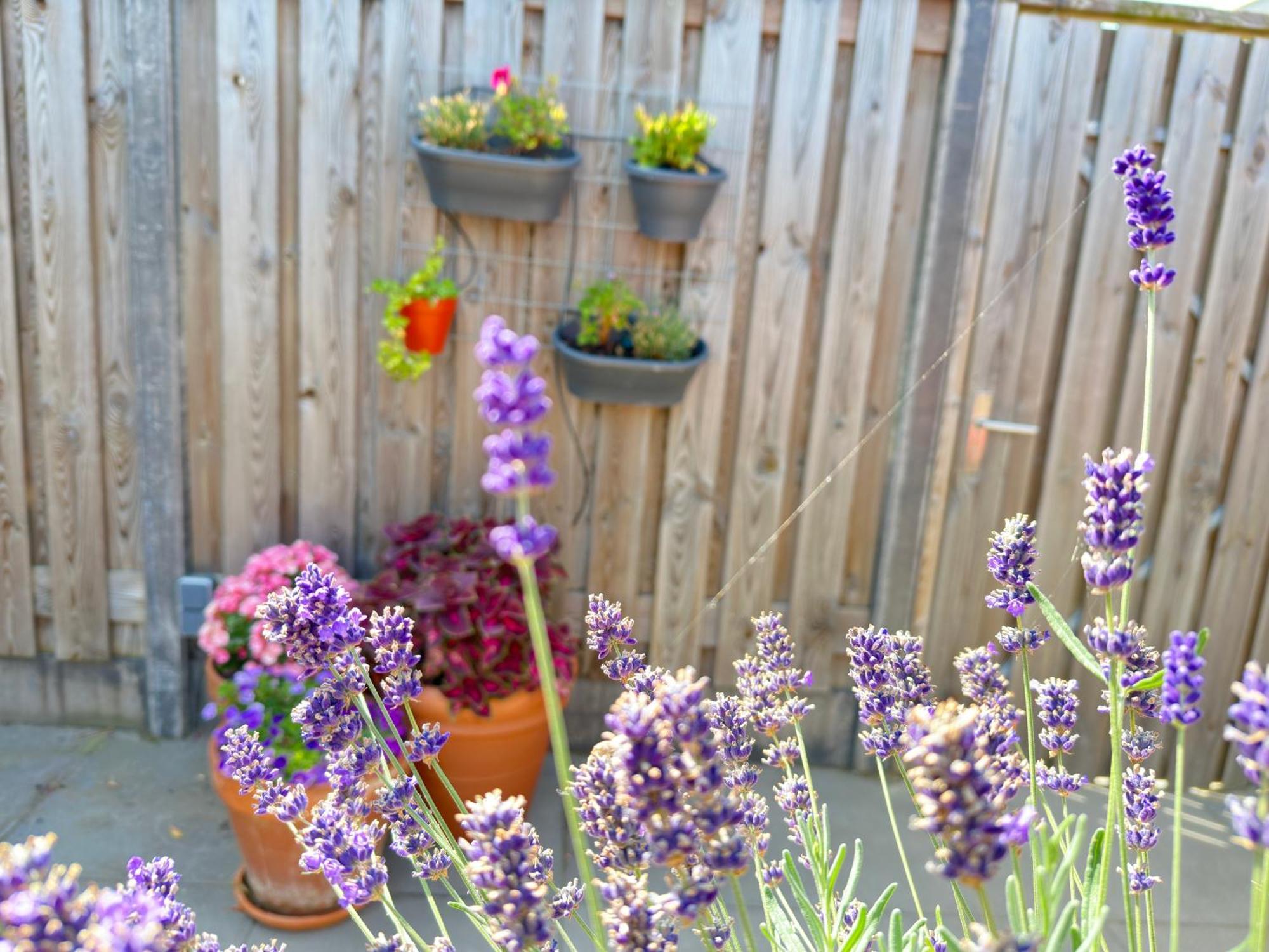 Zoutelande Koddelaan Vakantiewoning ภายนอก รูปภาพ